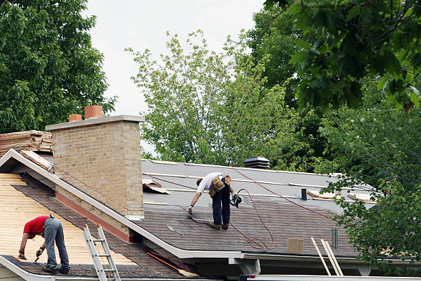 Professional Roofing Contractor in Springfield, SD